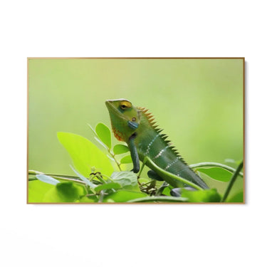 Quadro Stampa su Tela Canto delle Zampe Veloci - CupidoDesign