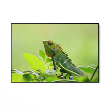 Quadro Stampa su Tela Canto delle Zampe Veloci - CupidoDesign