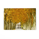 Quadro Stampa su Tela Château Margaux, Bordeaux - CupidoDesign