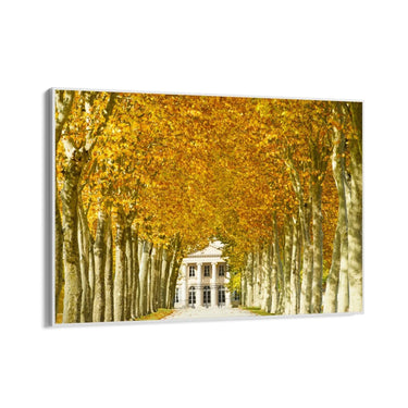 Quadro Stampa su Tela Château Margaux, Bordeaux - CupidoDesign