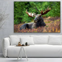 Quadro Stampa su Tela Corna Maestose - CupidoDesign