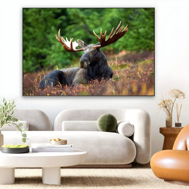 Quadro Stampa su Tela Corna Maestose - CupidoDesign