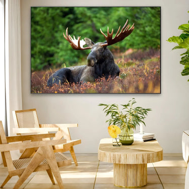 Quadro Stampa su Tela Corna Maestose - CupidoDesign