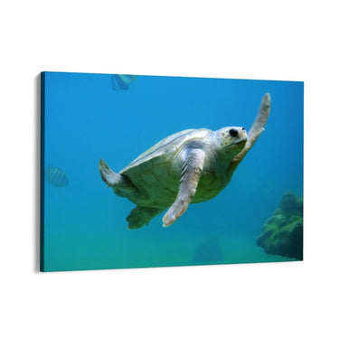 Quadro Stampa su Tela Danza delle Onde - CupidoDesign