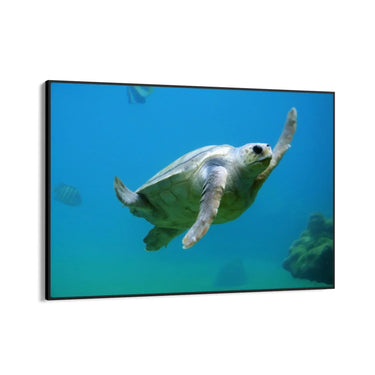 Quadro Stampa su Tela Danza delle Onde - CupidoDesign
