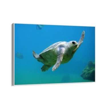 Quadro Stampa su Tela Danza delle Onde - CupidoDesign