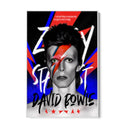 Quadro Stampa su Tela David Bowie Graffiti - CupidoDesign