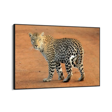 Quadro Stampa su Tela Estasi Natura - CupidoDesign