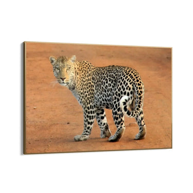 Quadro Stampa su Tela Estasi Natura - CupidoDesign