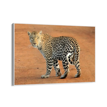 Quadro Stampa su Tela Estasi Natura - CupidoDesign