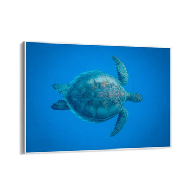 Quadro Stampa su Tela Estasi Subacquea - CupidoDesign