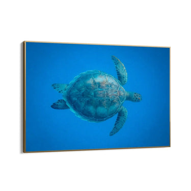 Quadro Stampa su Tela Estasi Subacquea - CupidoDesign