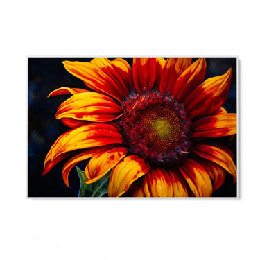 Quadro Stampa su Tela Eterno girasole - CupidoDesign