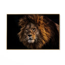 Quadro Stampa su Tela Fiamma nelle Ombre - CupidoDesign