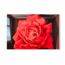 Quadro Stampa su Tela Fiore dei Lottatori, Rene Magritte - CupidoDesign