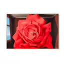 Quadro Stampa su Tela Fiore dei Lottatori, Rene Magritte - CupidoDesign