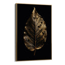 Quadro Stampa su Tela Foglia Gold - CupidoDesign