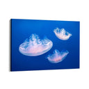 Quadro Stampa su Tela Fuga delle Meduse - CupidoDesign