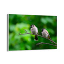 Quadro Stampa su Tela Fuga di Piume - CupidoDesign