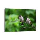 Quadro Stampa su Tela Fuga di Piume - CupidoDesign