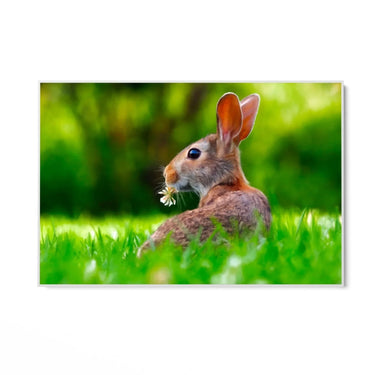 Quadro Stampa su Tela Fuga tra i Campi - CupidoDesign