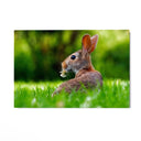 Quadro Stampa su Tela Fuga tra i Campi - CupidoDesign