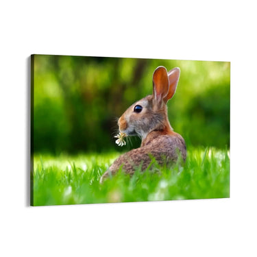 Quadro Stampa su Tela Fuga tra i Campi - CupidoDesign