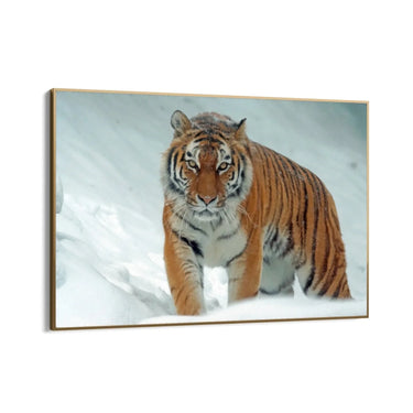Quadro Stampa su Tela Ghiaccio Selvaggio - CupidoDesign