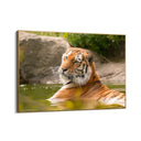 Quadro Stampa su Tela Giardini della Tigre - CupidoDesign