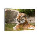 Quadro Stampa su Tela Giardini della Tigre - CupidoDesign