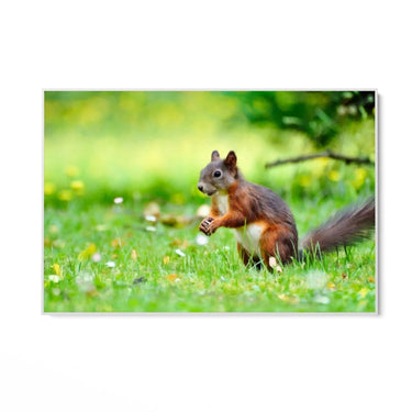 Quadro Stampa su Tela Giochi tra le Fronde - CupidoDesign