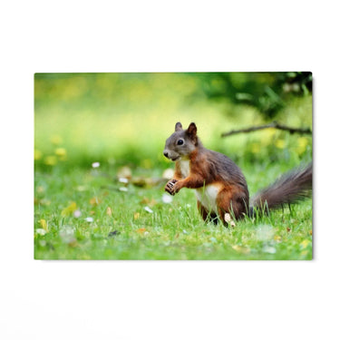 Quadro Stampa su Tela Giochi tra le Fronde - CupidoDesign