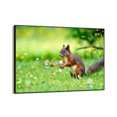 Quadro Stampa su Tela Giochi tra le Fronde - CupidoDesign