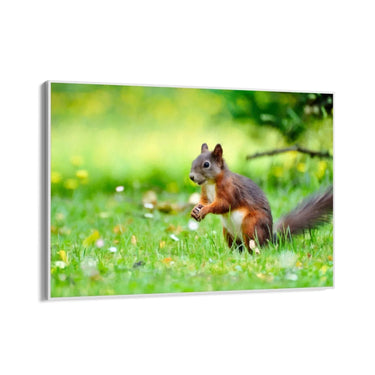 Quadro Stampa su Tela Giochi tra le Fronde - CupidoDesign