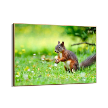 Quadro Stampa su Tela Giochi tra le Fronde - CupidoDesign