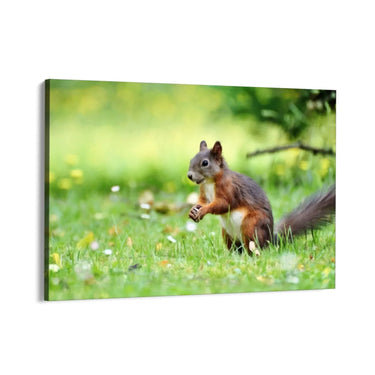 Quadro Stampa su Tela Giochi tra le Fronde - CupidoDesign