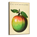 Quadro Stampa su Tela Il tradimento delle immagini II, Rene Magritte - CupidoDesign