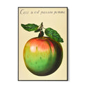 Quadro Stampa su Tela Il tradimento delle immagini II, Rene Magritte - CupidoDesign