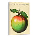 Quadro Stampa su Tela Il tradimento delle immagini II, Rene Magritte - CupidoDesign