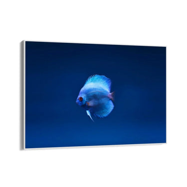 Quadro Stampa su Tela Incontro Blu - CupidoDesign