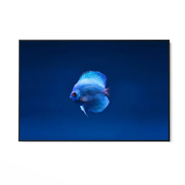 Quadro Stampa su Tela Incontro Blu - CupidoDesign