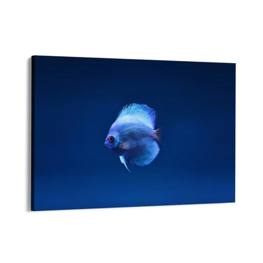 Quadro Stampa su Tela Incontro Blu - CupidoDesign