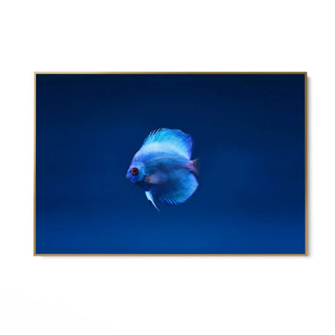 Quadro Stampa su Tela Incontro Blu - CupidoDesign