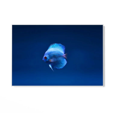 Quadro Stampa su Tela Incontro Blu - CupidoDesign