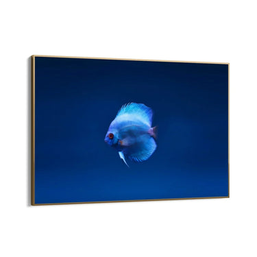 Quadro Stampa su Tela Incontro Blu - CupidoDesign