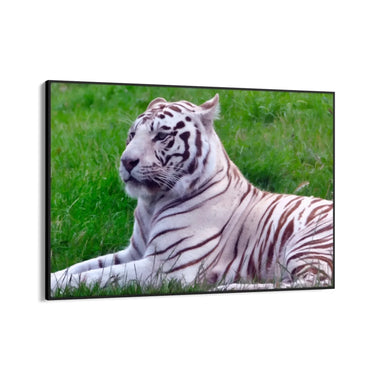 Quadro Stampa su Tela Incontro Felino - CupidoDesign