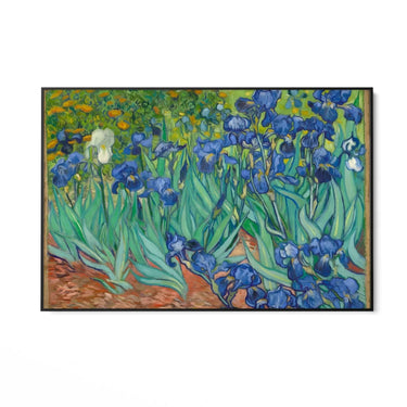 Quadro Stampa su Tela Irises 1889, Vincent Van Gogh - CupidoDesign