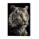 Quadro Stampa su Tela La Tigre Bianca - CupidoDesign