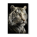 Quadro Stampa su Tela La Tigre Bianca - CupidoDesign