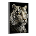 Quadro Stampa su Tela La Tigre Bianca - CupidoDesign